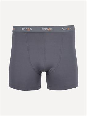 {{productViewItem.photos[photoViewList.activeNavIndex].Alt || productViewItem.photos[photoViewList.activeNavIndex].Description || 'Трусы-боксеры (термотрусы) Сплав Fresh серые'}}