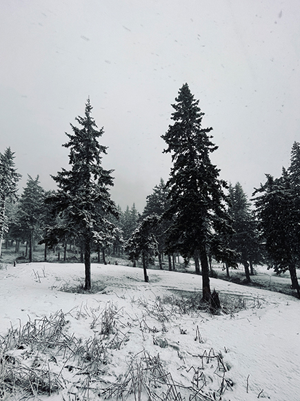 мембрана зимой